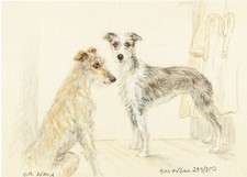 Lurchers Print, Lurchers