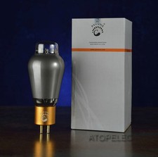 2pcs Matched PSVANE 300B-T