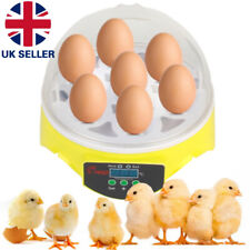 7 Eggs Incubator Automatic