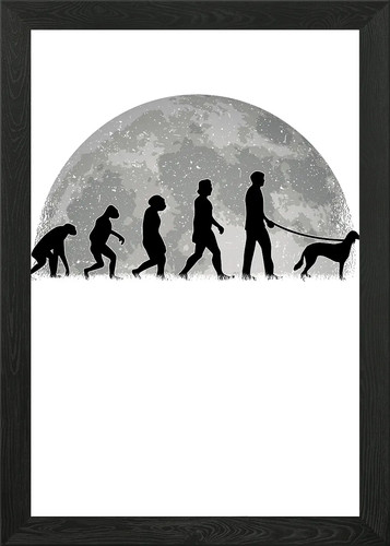 Saluki moon evolution - saluki,
