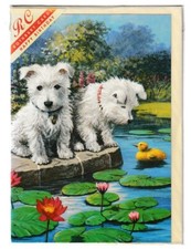 WEST HIGHLAND TERRIER DOG  BIRTHDAY  GREETING CARD