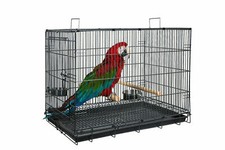 LIBERTA LARGE TRANSPORT PARROT