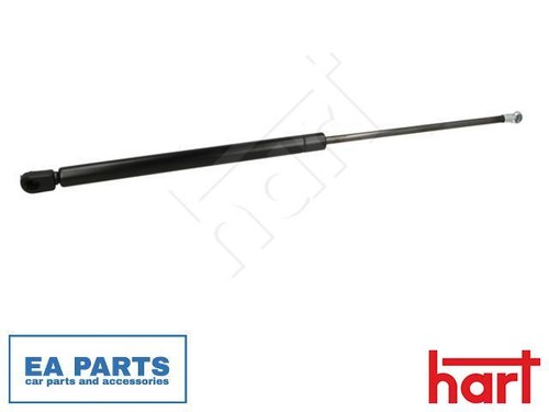 Gas spring boot cargo - gas, boot/cargo
