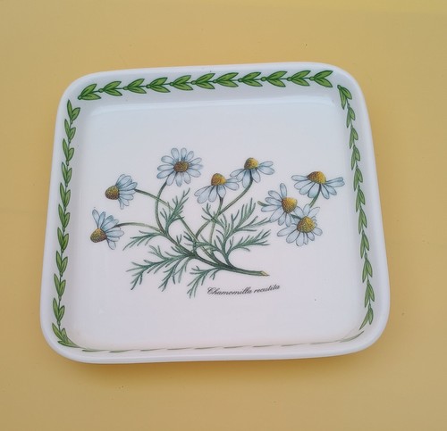Royal patrician staffordshire - royal,