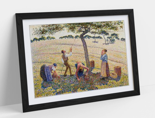 Apple harvest camille - harvest,