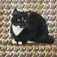 Puff - Fine Art Blank Greeting / Birthday Card - Black & White Kitten Cat Cats