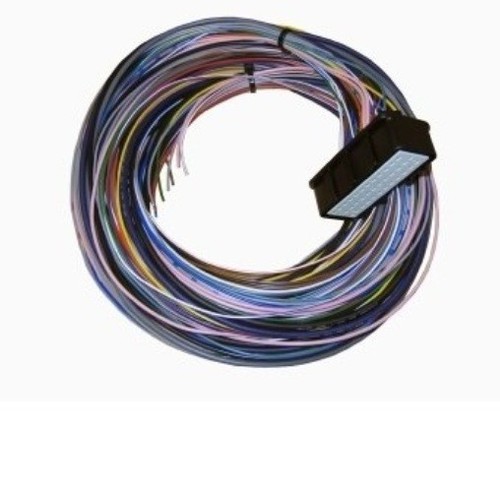 Omex 710 ecu - plug, &