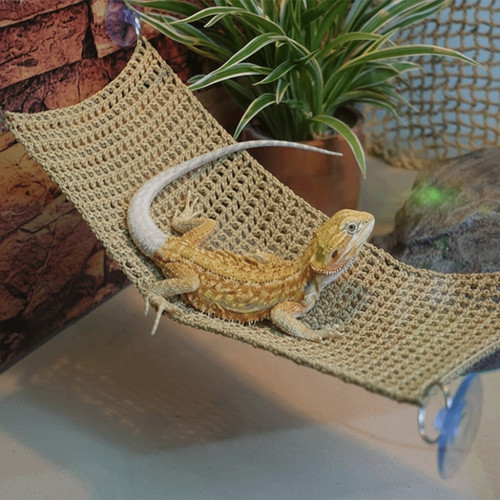 Hanging lizard hammock pet - hanging,