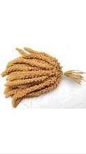 Millet Sprays 500g ( For Cage