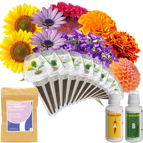 Fragrant flower seed - flower, pod