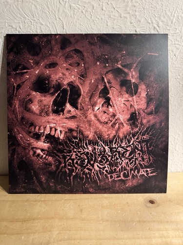 Rev3rent decimate vinyl - decimate,