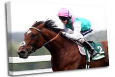 Frankel Jockey Queally Horse
