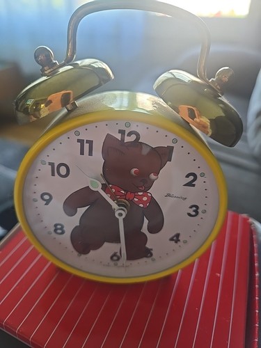 Blessing teddy bear wind - bear, up