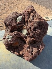 One Large, Red Lava Rock –