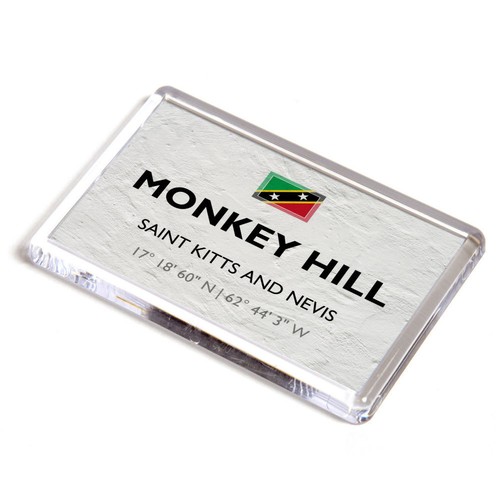 Fridge magnet monkey hill - fridge,
