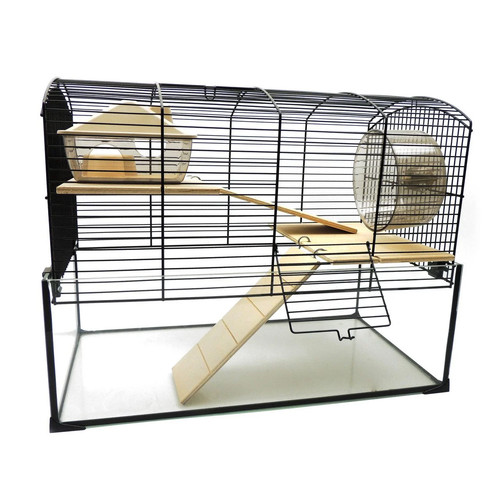 Little friends hamster gerbil - friends,