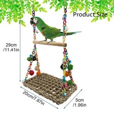 Parrot.Swing African Grey