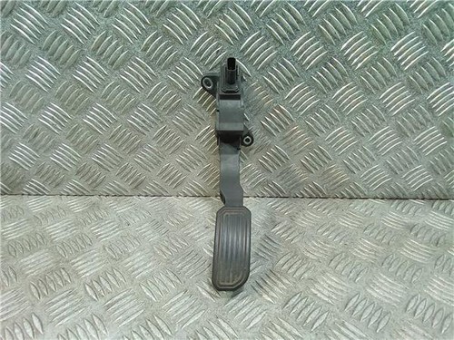 7811002012 accelerator gas - accelerator,