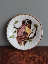 Vintage Finsbury Fine Bone