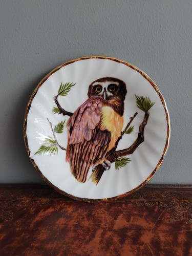 Vintage finsbury fine bone - fine,