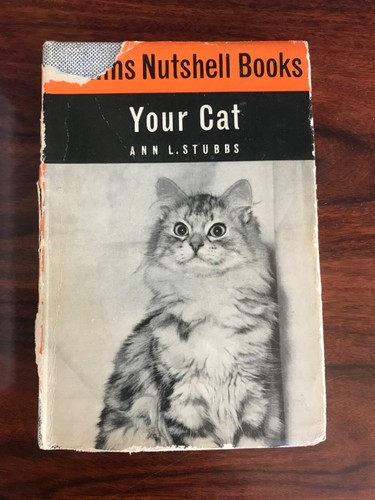 Your cat collins nutshell - a,