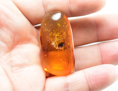Dominican amber cabochon green - dominican,