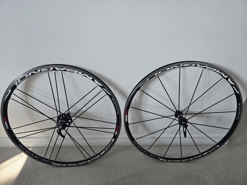 Campagnolo shamal ultra - campagnolo, c15