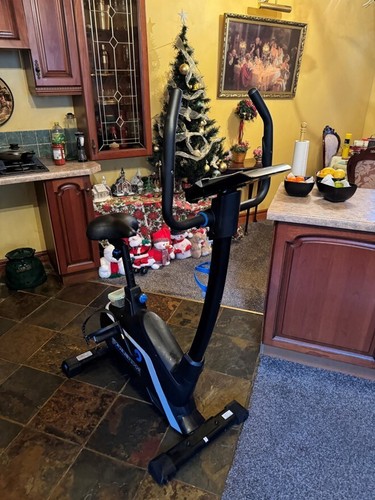 Roger black gold - exercise, bike