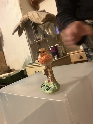 Border fine arts - arts, robin