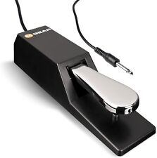 M-Audio SP-2 - Universal Sustain Pedal with Piano Style Action, The Ideal Acces