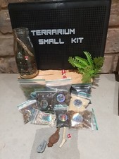 Terrarium kit diy plants - terrarium,