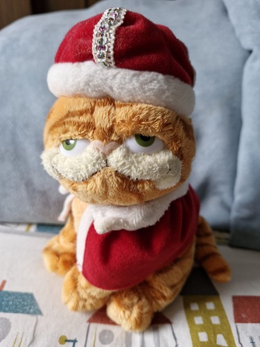 2006 beanie garfield his - 2006, ty
