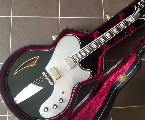 Electric guitar motor - electric,