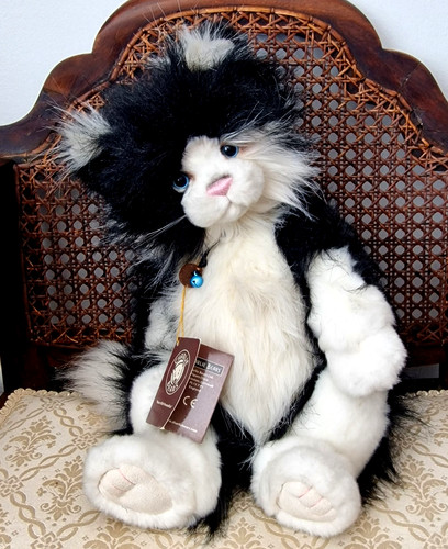 Charlie bears ally cat with - ally,