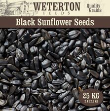 Black Sunflower Seeds 25kg (2 x 12.5kg) – Wild Bird Feed – Clean High-Energy