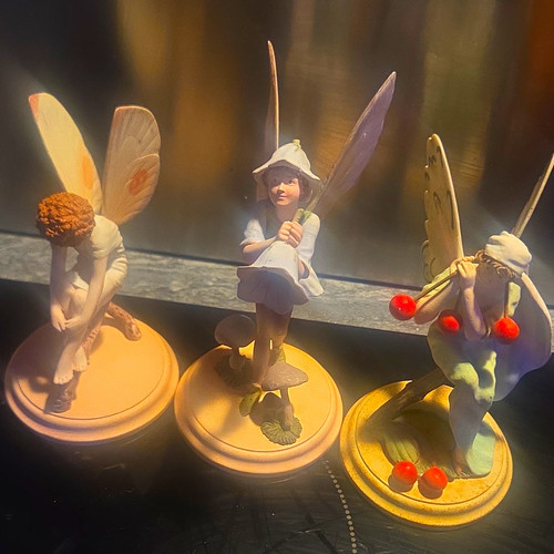 The enchanted world fairies - enchanted,