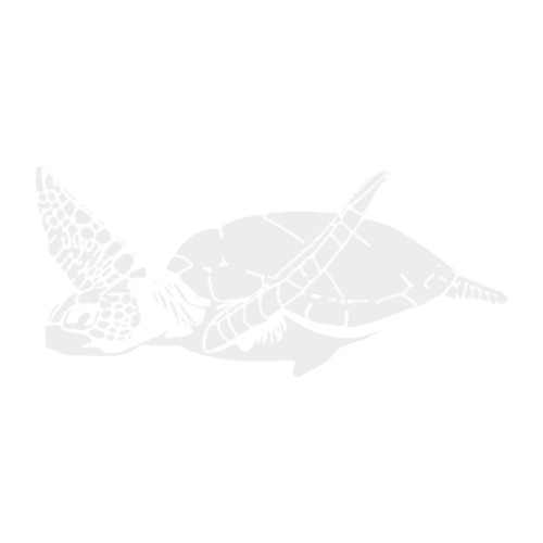 Sea themed car sticker - sea-themed, sticker,