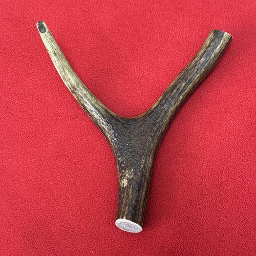 One piece deer - piece, of