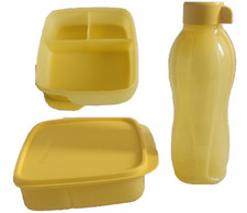 Tupperware Fun Meal Lunch Box