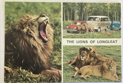 Vintage john hinde postcard - john,