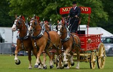 Photo 12x8 The South of