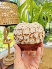 Lovely Cornish Made Local Artist 9x8 cm Small Pot Studio Art Pottery  567g Bowl