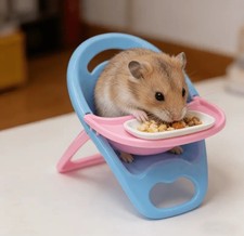 Plastic Hamster Feeding Chair