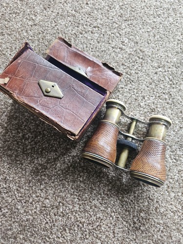 Snake skin opera - glasses, in
