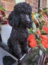 Vivid Arts Black Poodle Garden