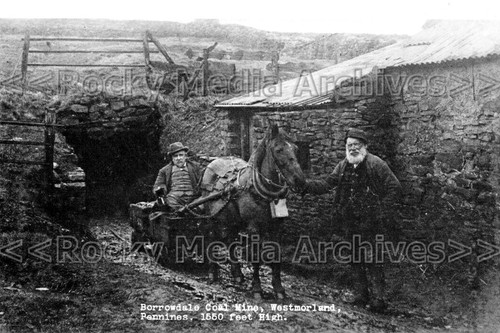 Zki pit pony - pony, miners