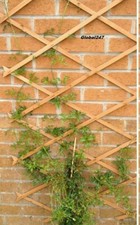 3 x Tan Light Brown  wooden expanding garden trellis 6ft x 2ft / 1.8m x 60cm
