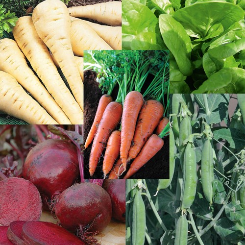 Bumper seed packs - t&m,