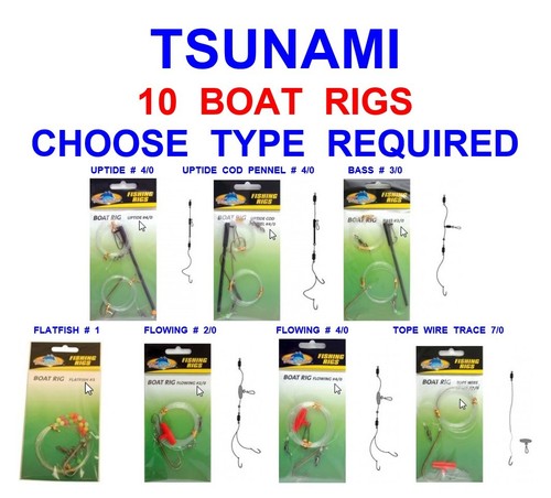 Tsunami boat rigs sea - tsunami,