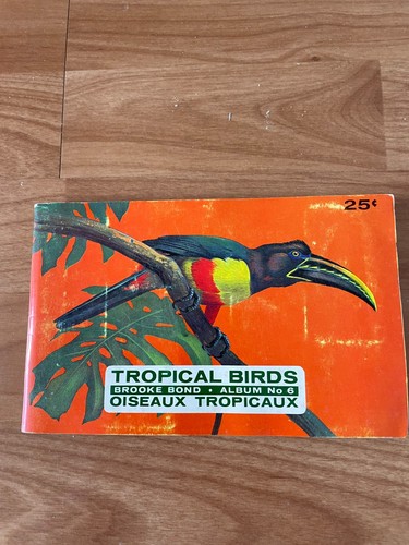 Tropical birds brooke - tropical,